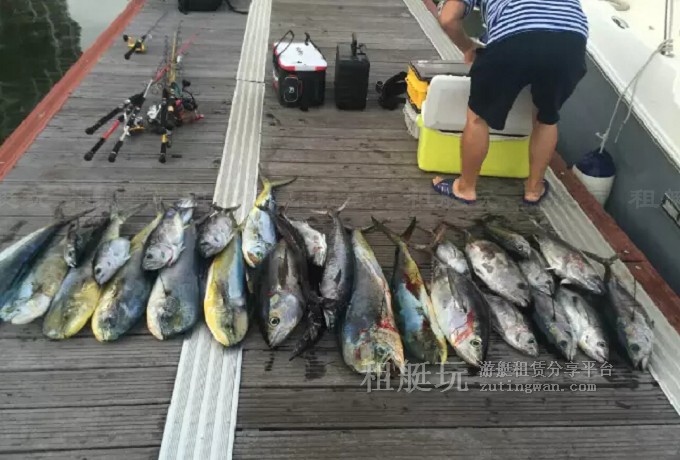 三亞海釣目的地推薦，租艘釣魚艇去海釣吧！