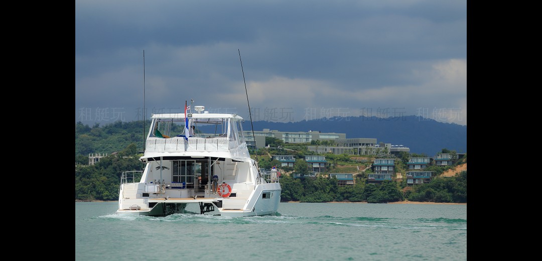 Leopard 51